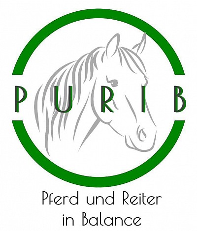 Pferd und Reiter